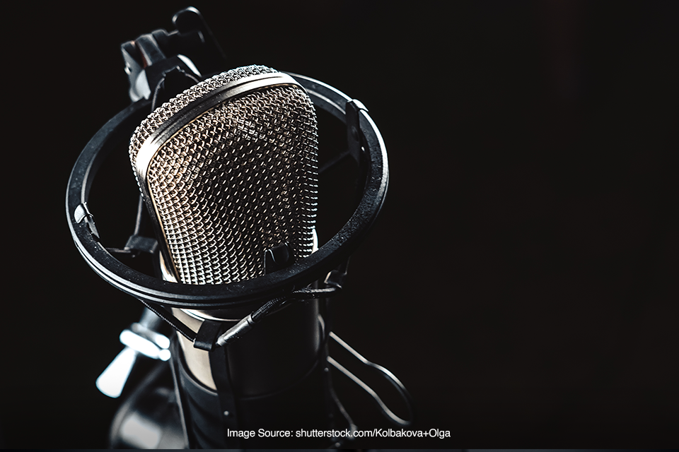 condenser microphone