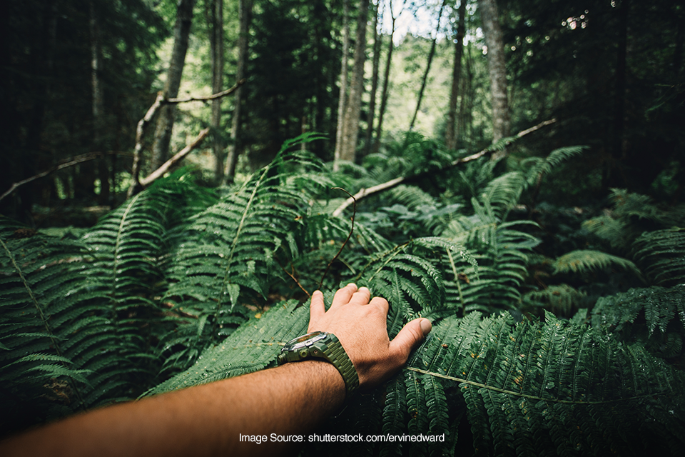 penyebab umum kematian di alam bebas