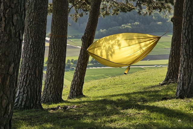 Ilustrasi hammock. Image: Pixabay