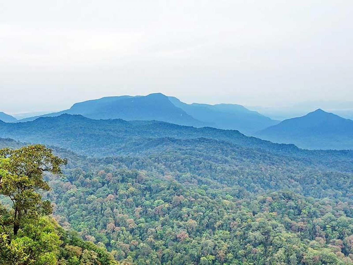 Gunung Niut. Image: Jadesta Kemenparekraf