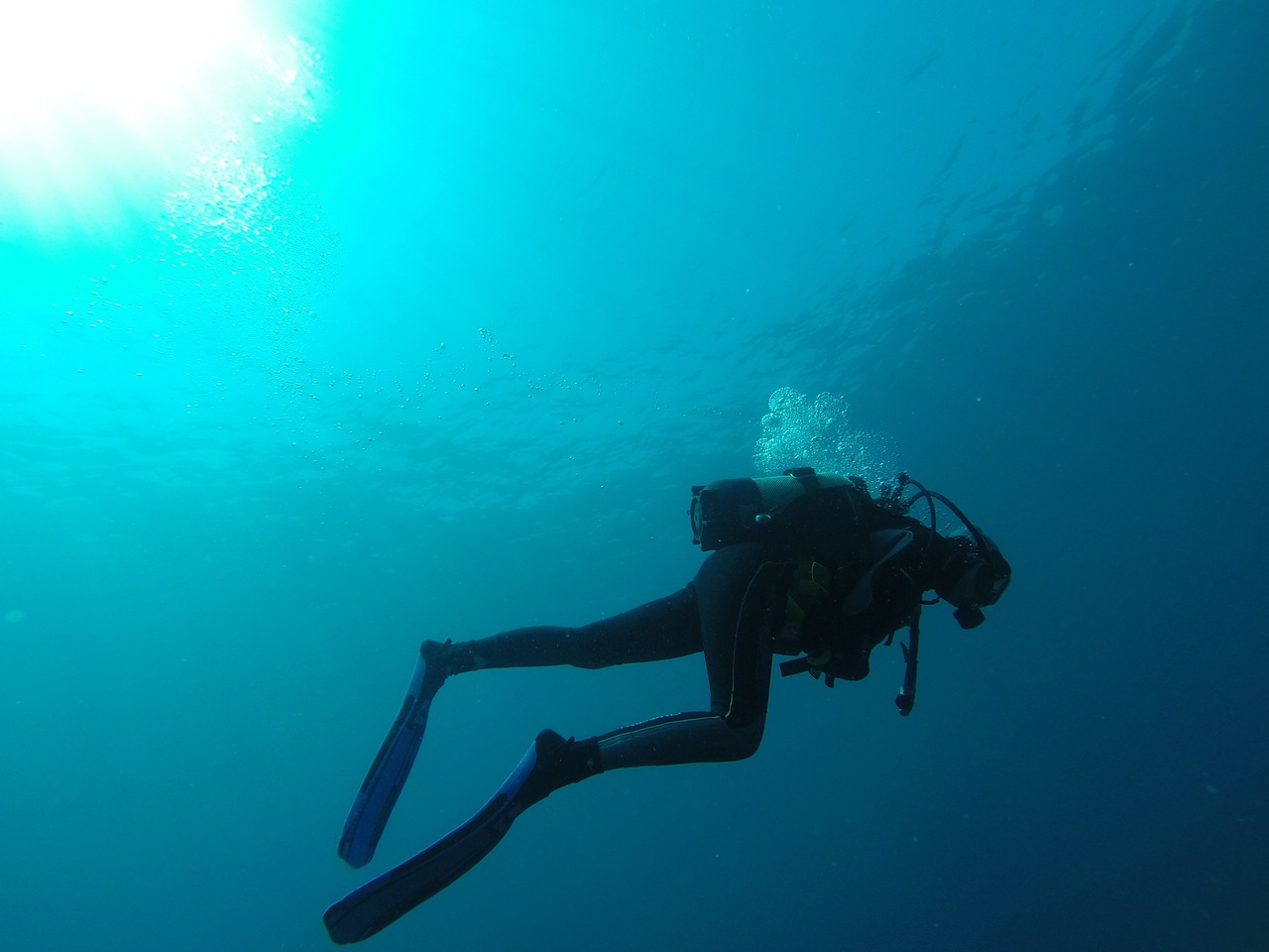 Ilustrasi diving. Image: tuturgires/Pixabay Ilustrasi diving. Image: tuturgires/Pixabay