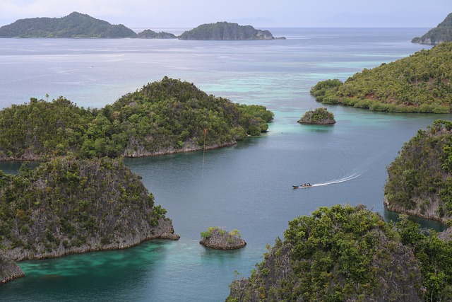 Ilustrasi Raja Ampat. Image: Pixabay