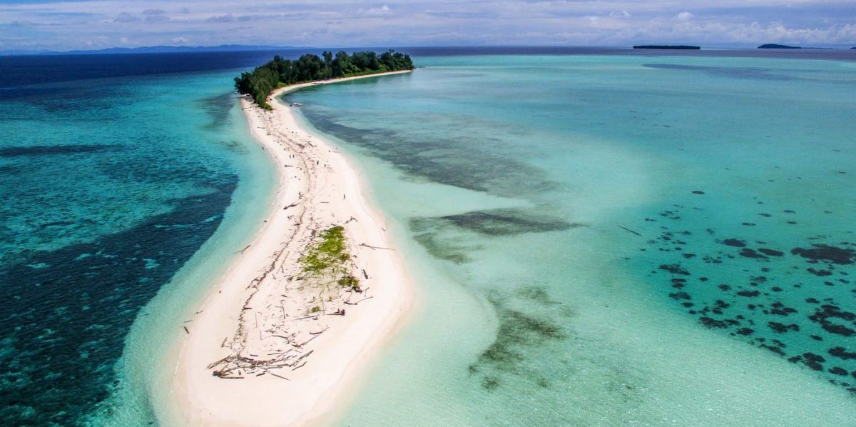 Teluk Cenderawasih. Image: telukcenderawasihnationalpark.com