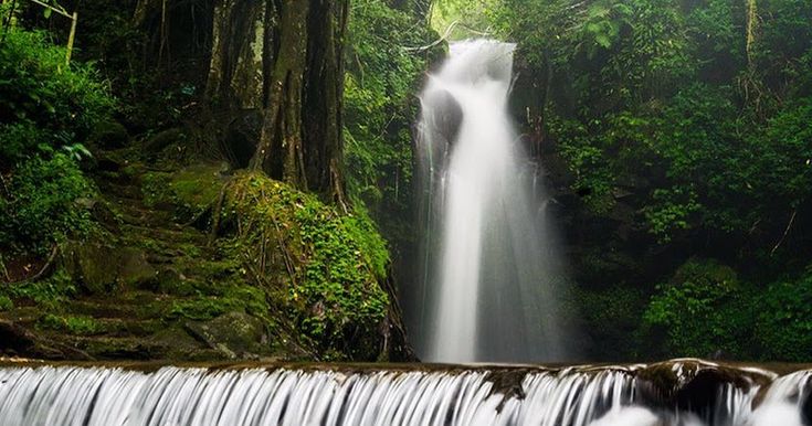 Curug Putri Palutungan. Image: Pinterest