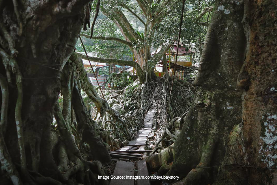 Jembatan Akar Bayang