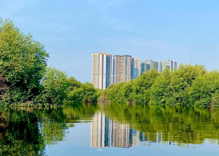 Hutan Mangrove PIK. Image: Instagram/@beingren