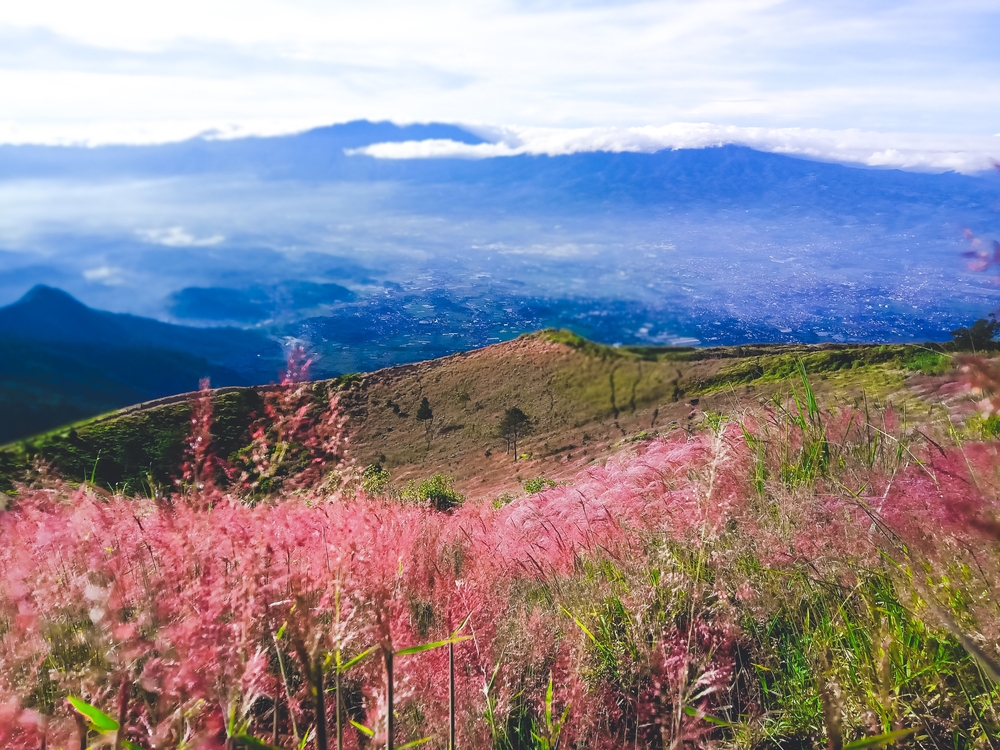 Gunung Guntur, yang terletak di Kabupaten Garut, Jawa Barat, merupakan salah satu destinasi wisata alam yang menyimpan pesona luar biasa. Gunung ini cocok untuk para pendaki dari berbagai tingkatan, mulai dari pemula hingga berpengalaman.