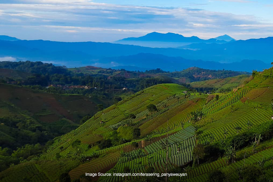 Terasering Panyaweuyan