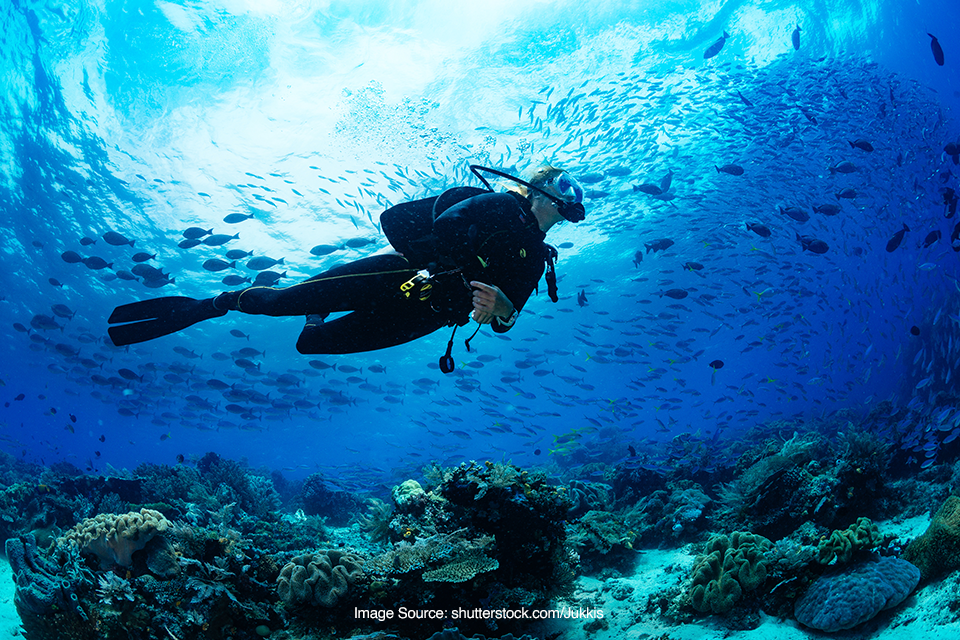 perbedaan antara freediving dan scuba diving