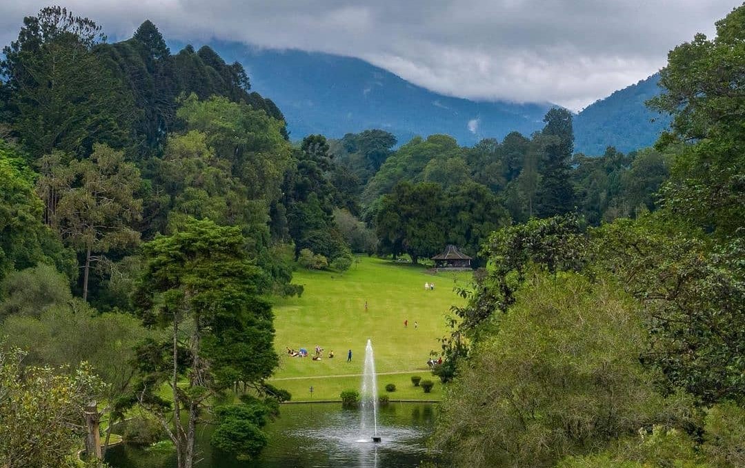 Kebun Raya Cibodas. Image: Instagram/@wisatakebunraya_cibodas