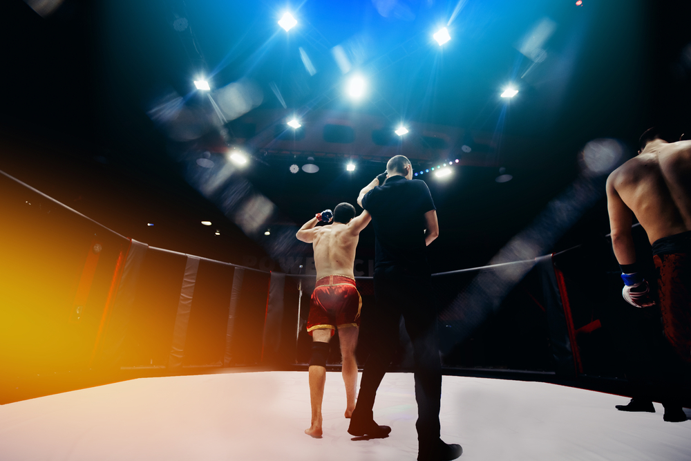 profil dricus du plessis