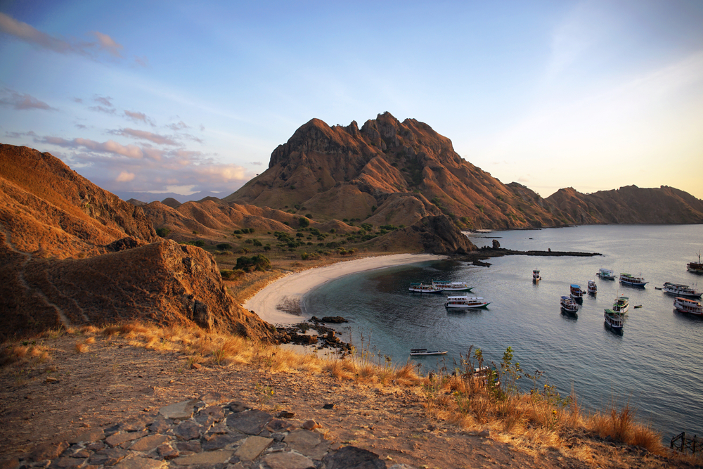 shutterstock_1993586534