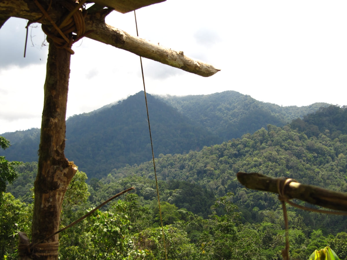 Gunung Lumut. Image: gunungbagging