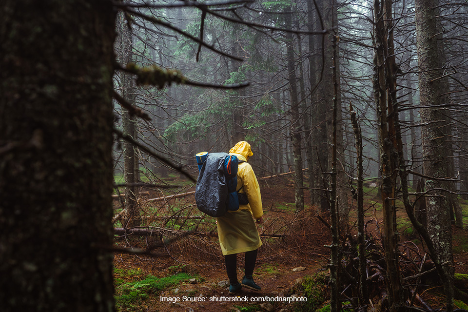 Naik Gunung Saat Musim Hujan