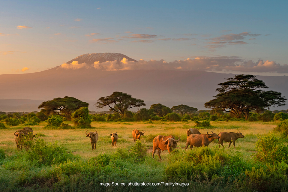 taman nasional kenya