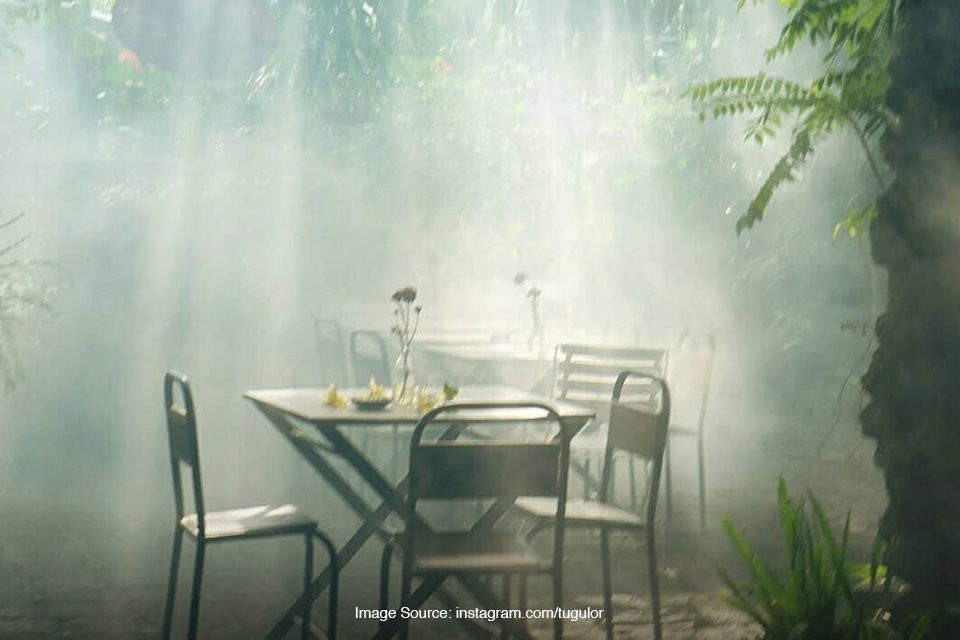 Kafe dengan Konsep Tanaman