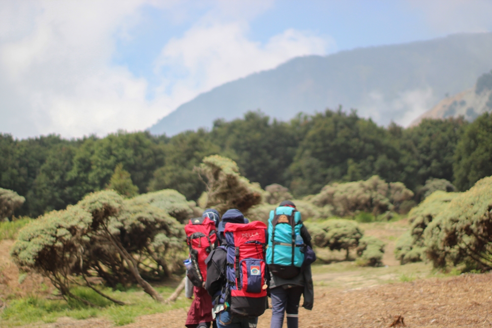 Hiking mengurangi sakit diabetes