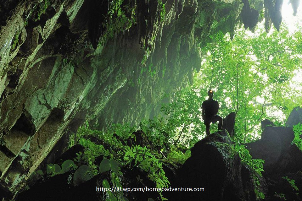 Taman Nasional Bako