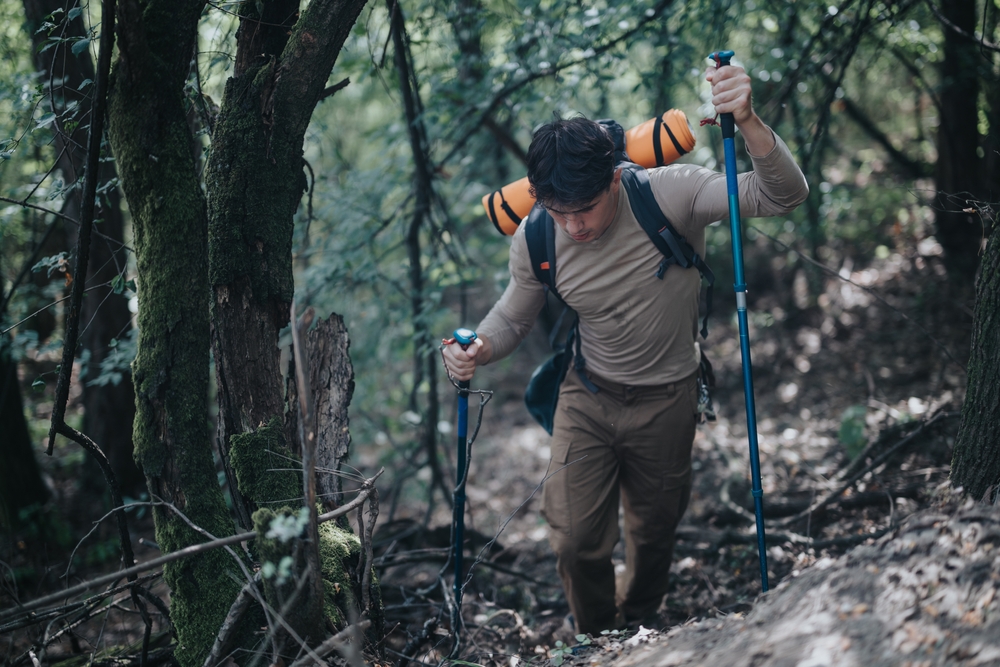 Trekking Pole