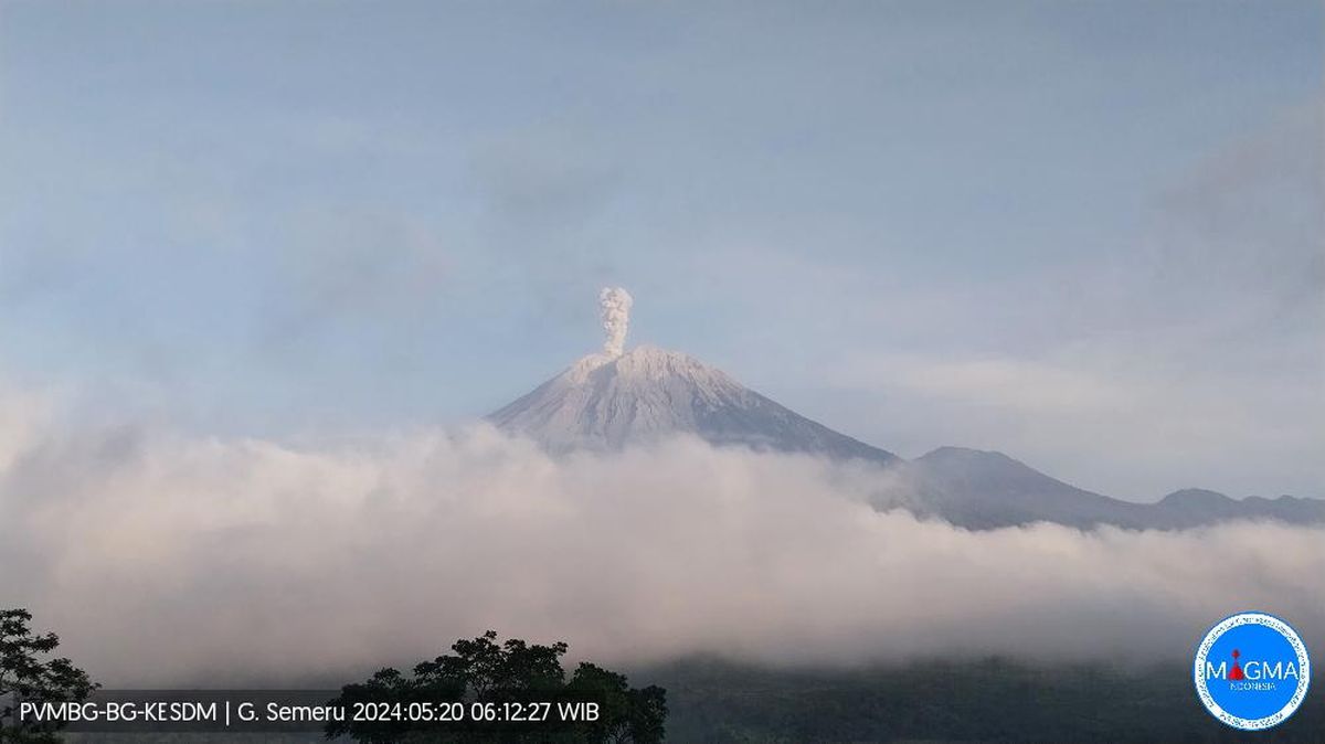 gunung-semeru-erupsi-senin-20-mei-2024-pukul-0611-wib-800-meter_169