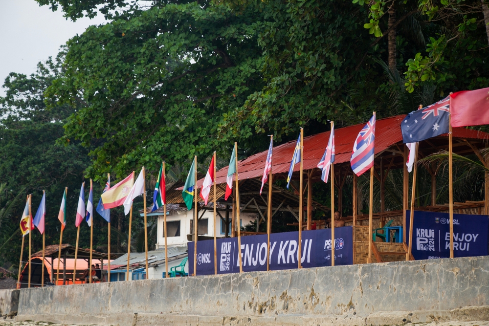 shutterstock_2468280055