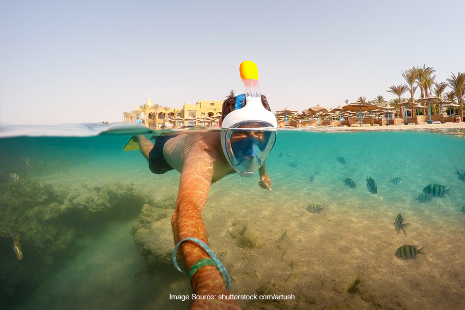spot diving