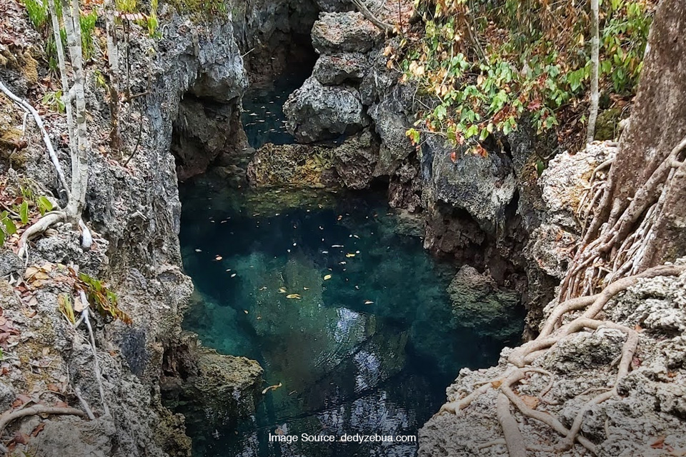 Gua Halo Tabung Maratua