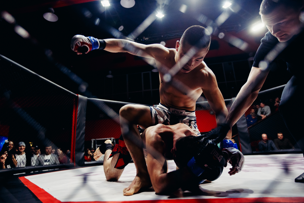 Cage Control MMA