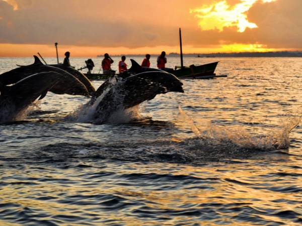 Pantai Lovina. Image: dispar.bulelengkab.go.id