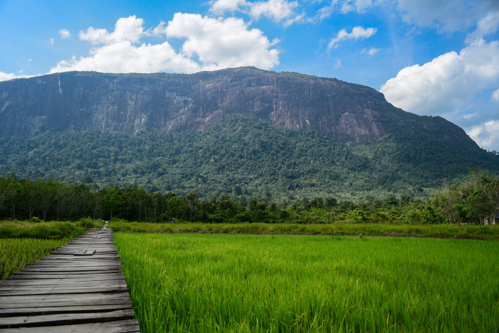 shutterstock_1348796831