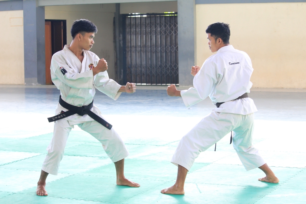 Bela Diri Kempo