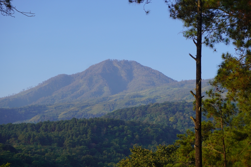 Bukit Lincing Gunung Arjuno