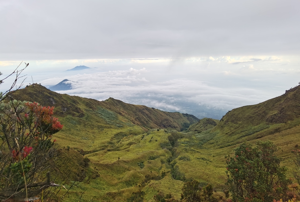 shutterstock_2071570619