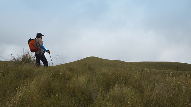 Ilustrasi trekking pole. Image: Alejandro Miranda/Pixabay