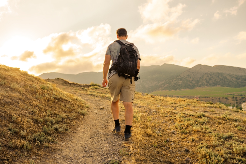 shutterstock_2228159781