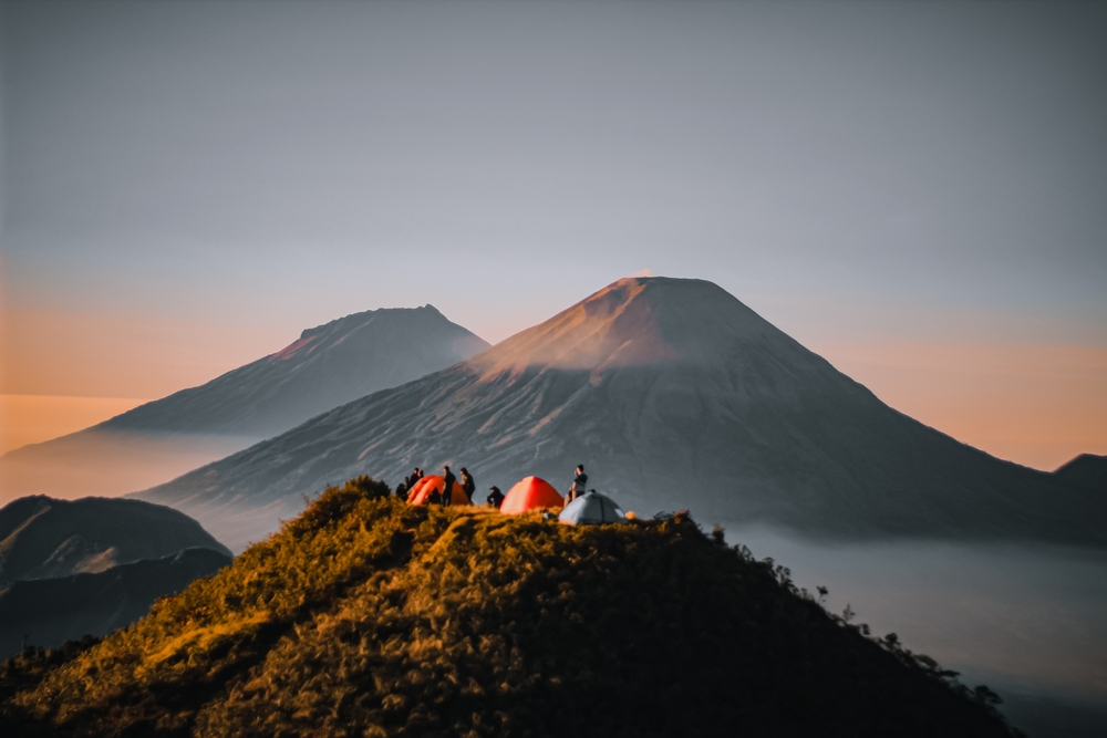 shutterstock_2364261617