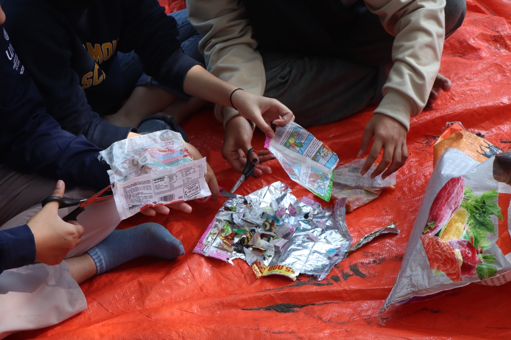 shutterstock_2449498487