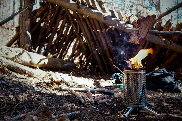 Ilustrasi bushcraft. Image: Michal Renčo/Pixabay