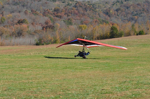 Ilustrasi hang gliding. Image: Pixabay