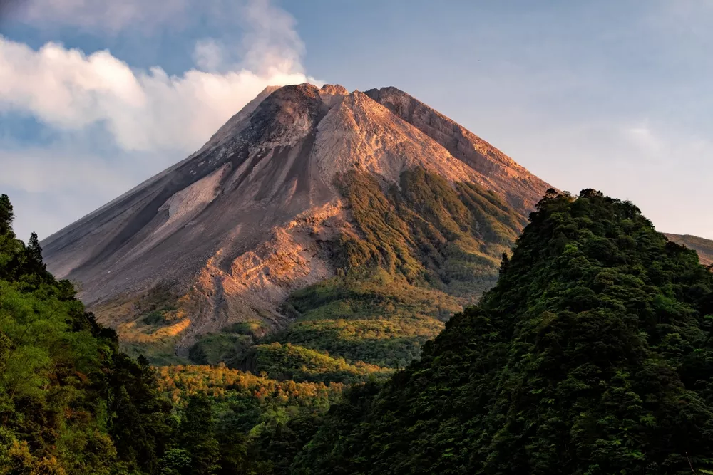 image article image article