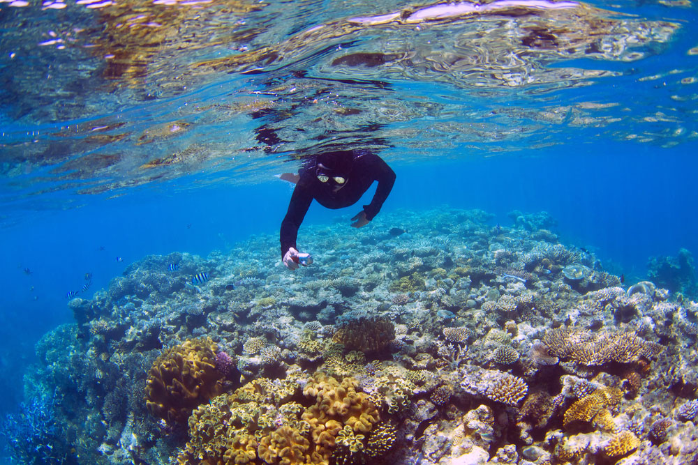 Mengagumi Dunia Bawah Laut Bunaken