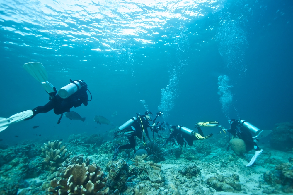 Inilah Spot-Spot Diving Terbaik di Nusa Penida