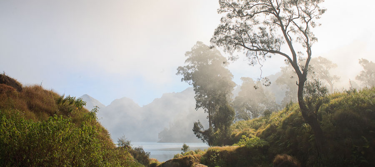 Menikmati Keindahan nan Segar dari Segara Anak