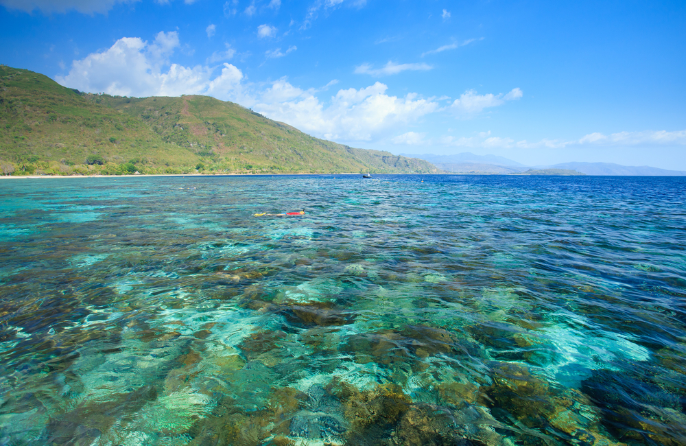 Menyelami Keindahan Alam Bawah Laut Selat Patar, Alor