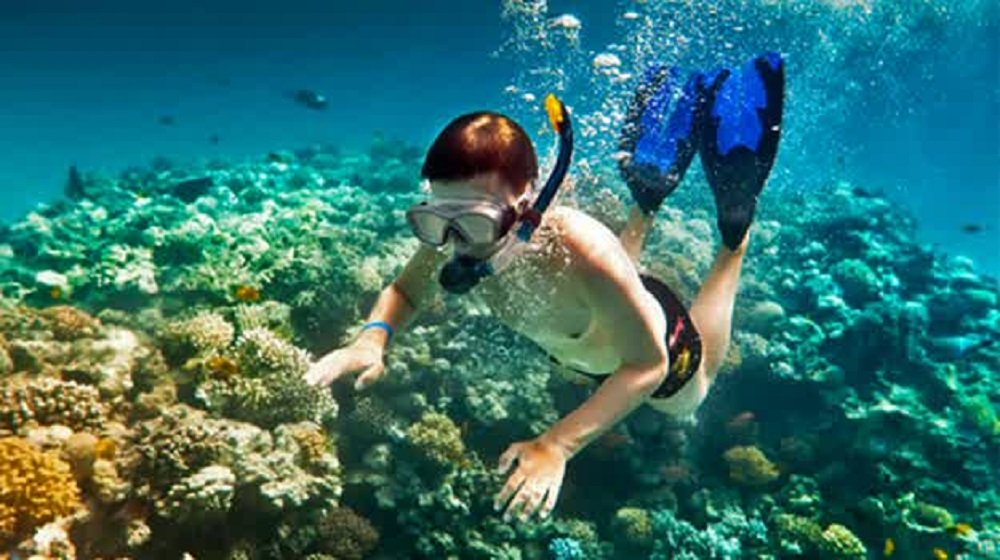 Tips Snorkling untuk Pemula