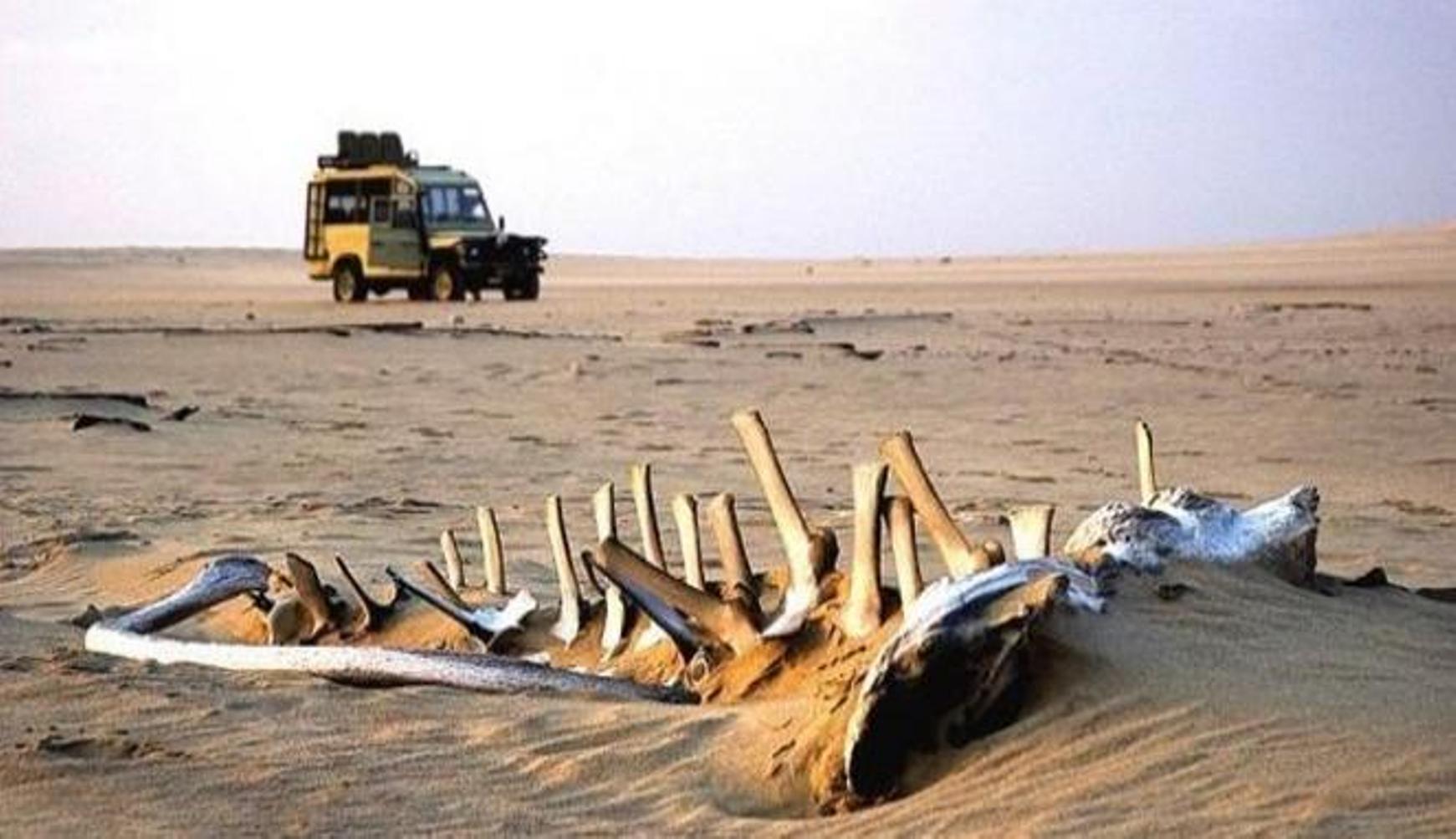 Pantai Tengkorak di Namibia