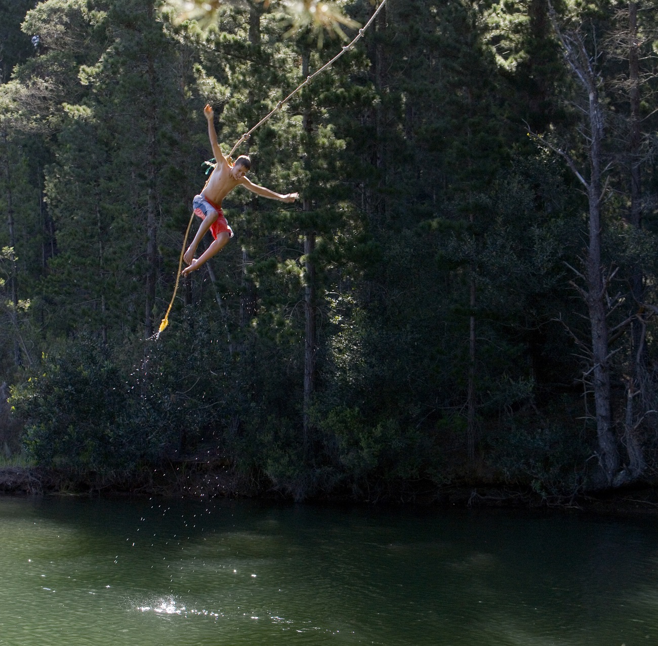 Terjun Bebas Menikmati Hutan Tropis di Atas Jurang Lau Hulung, Medan