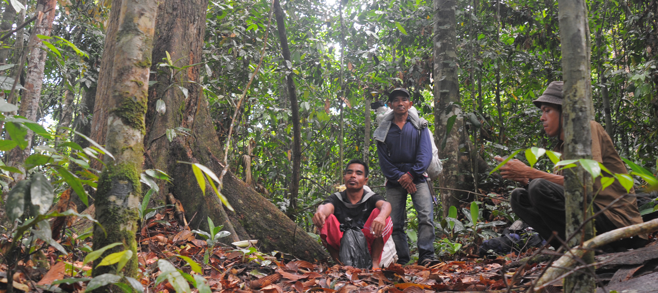 Petualangan di Taman Nasional Bukit Tigapuluh