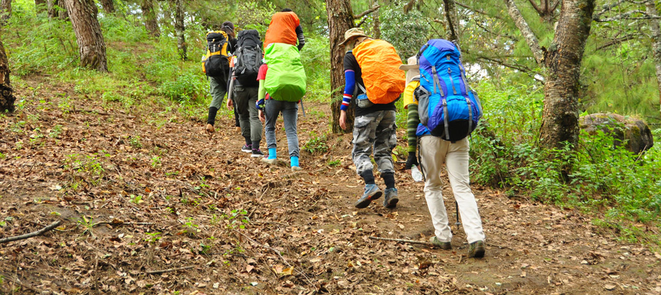 Trekking Di Hutan Lalu Mules? Ini Tipsnya