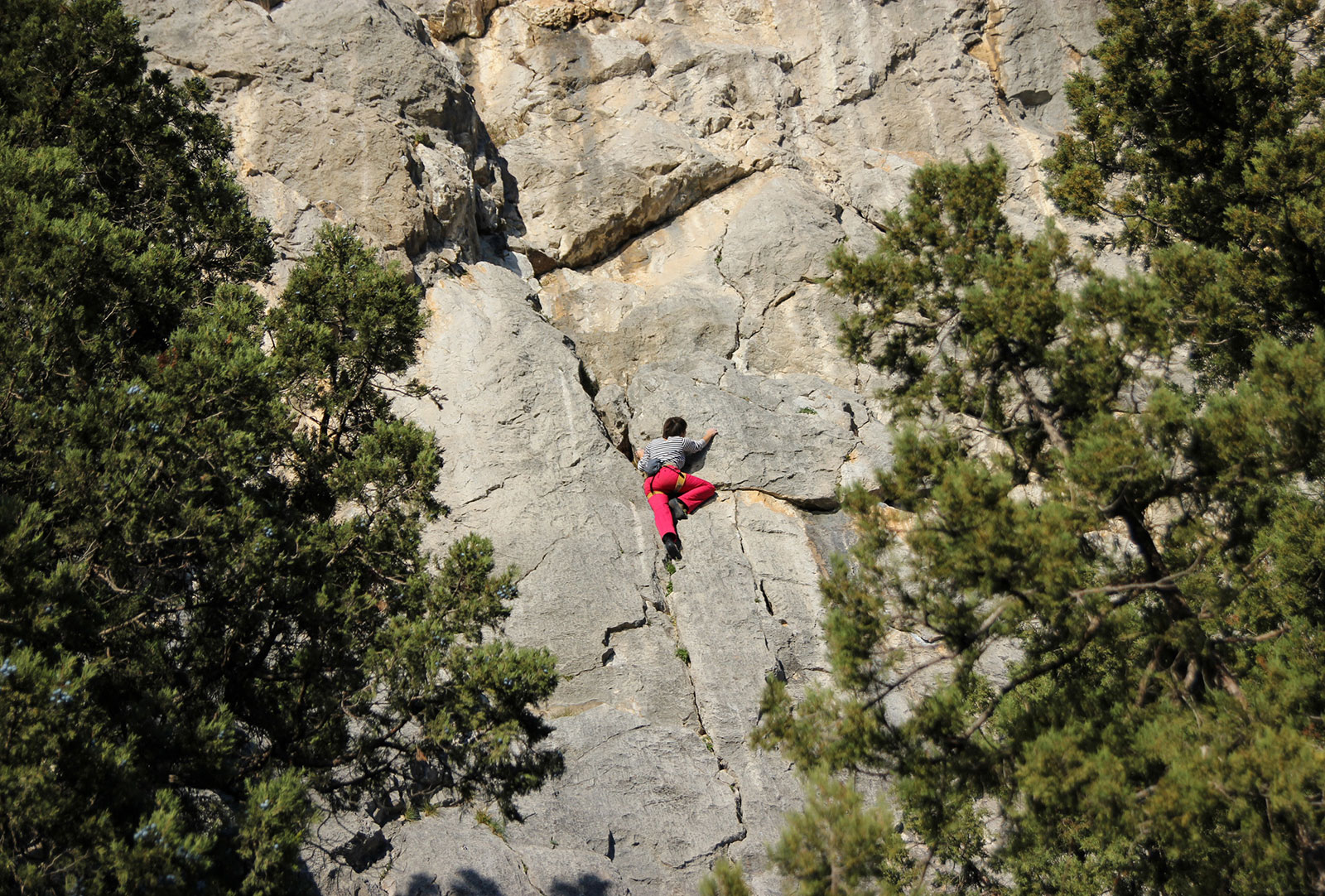 Alex Honnold Nekat Manjat Puncak El Sendero Luminoso yang Fenomenal